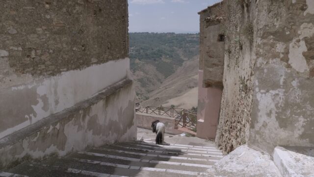 farePaese-documentario_still-pomarico